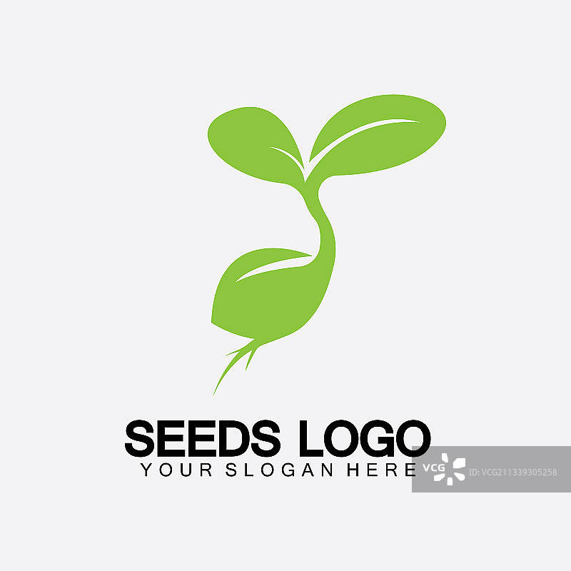 植物种子logo概念模版：种子生长图片素材