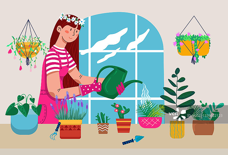 年轻女人给室内植物浇水图片素材