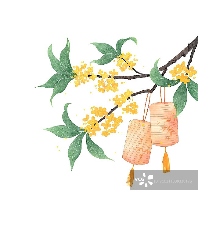 桂花元素插画图片素材