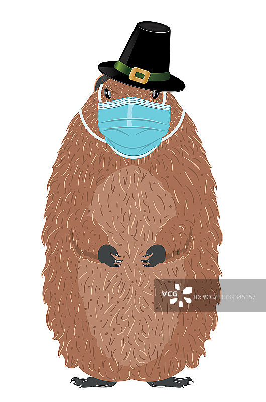 戴口罩的土拨鼠图片素材