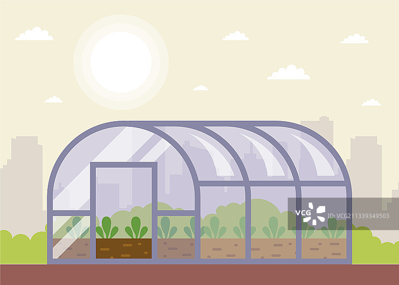 春季温室里种植的幼苗图片素材