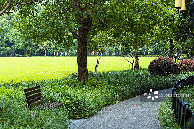 上海陆家嘴中心绿地公园安静而充满生机，一片绿色图片素材