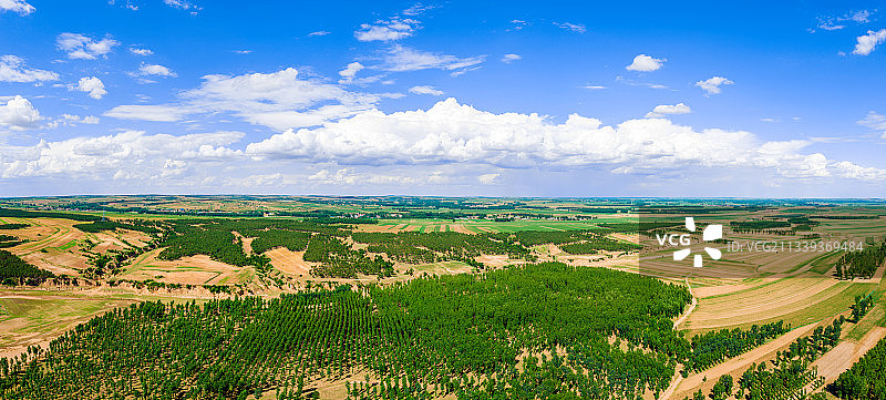 辽宁省阜新市阜新县造林绿化图片素材