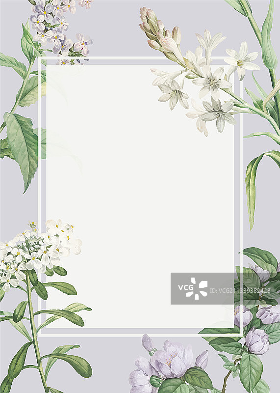 装饰花卉边框图片素材