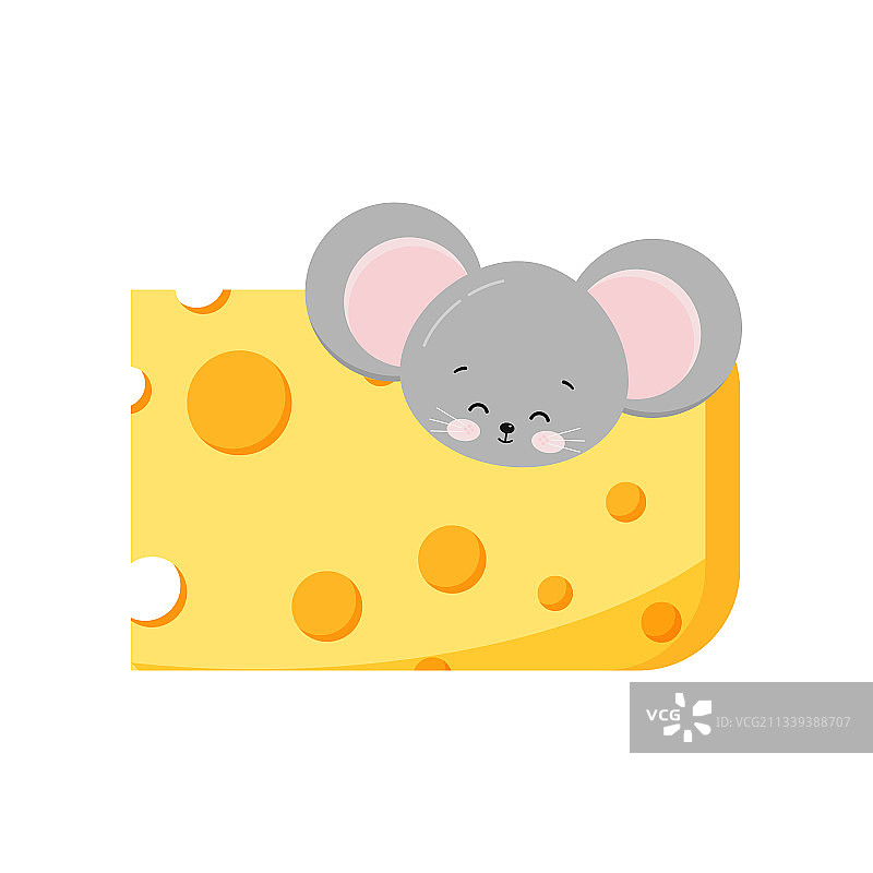 从奶酪洞里向外看的可爱的老鼠头图片素材