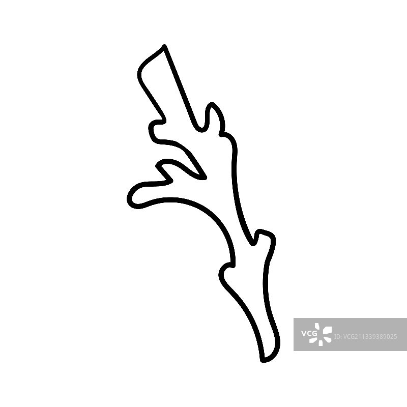 手绘珊瑚海底海洋植物图片素材