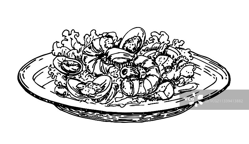 手绘鲜虾沙拉草图图片素材