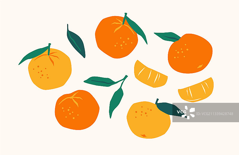 手绘橘子柑橘橙子素材图片素材
