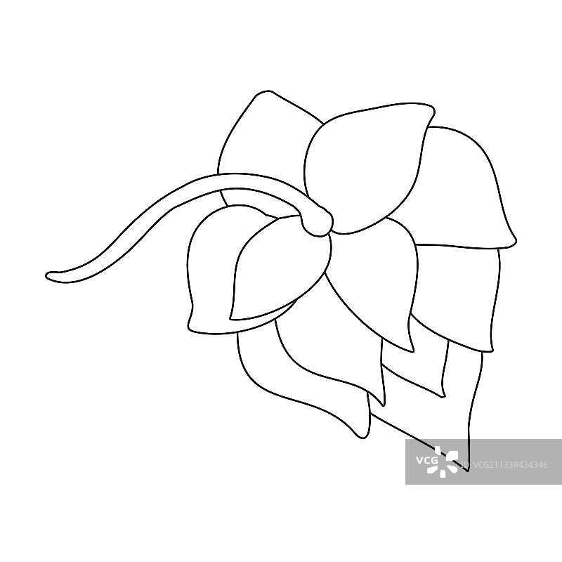 啤酒花植物轮廓图标图片素材