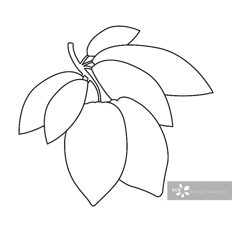 可可豆轮廓图标图片素材