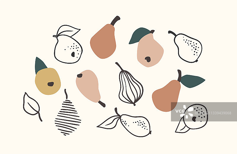 孤立的梨子手绘套装图片素材