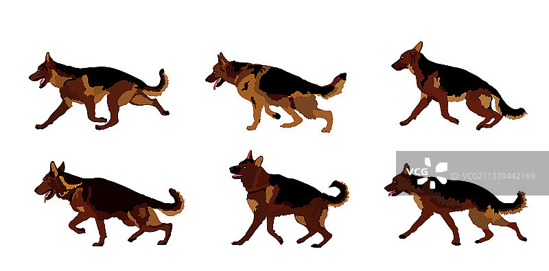 奔跑的德国牧羊犬图片素材