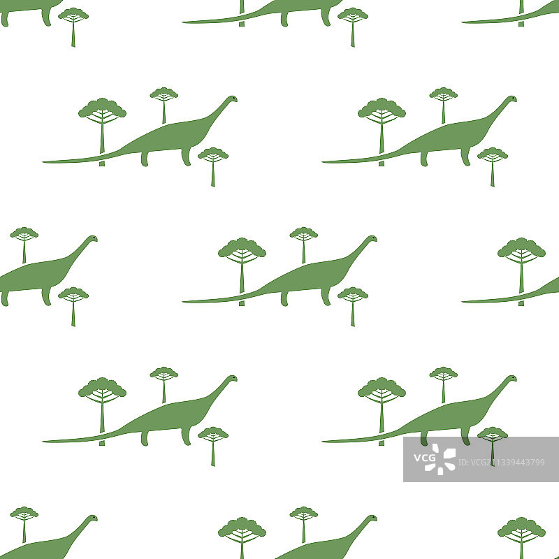 梁龙和南洋杉图片素材