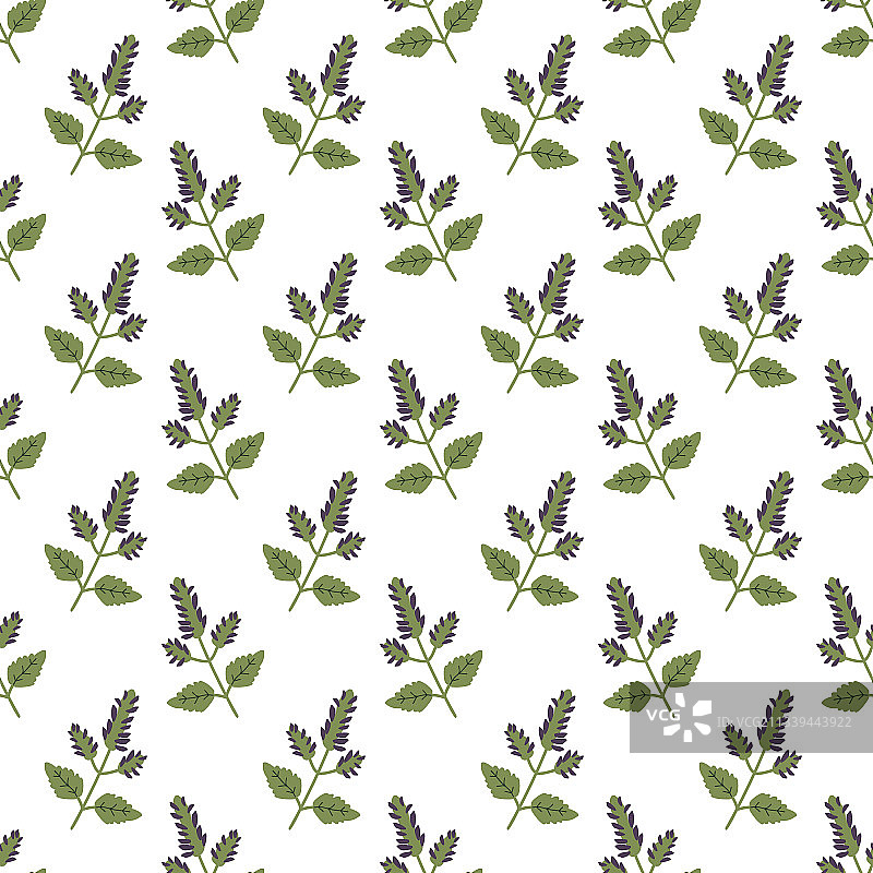 无缝广藿香图案图片素材
