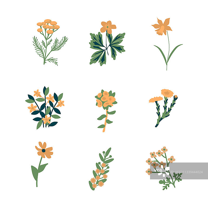 孤立的花朵套装图片素材