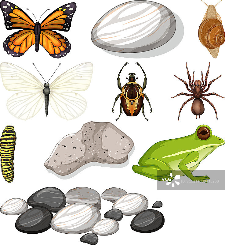 具有自然元素的各种昆虫图片素材