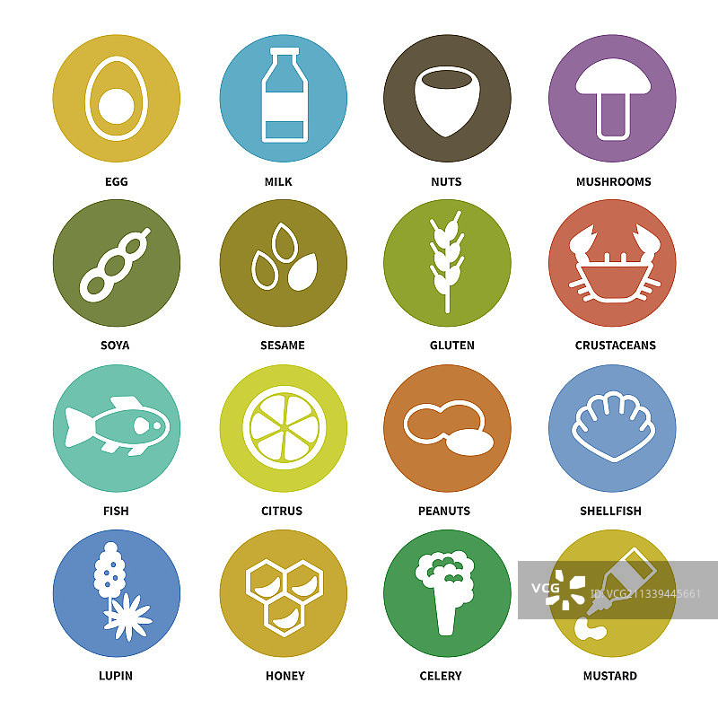 食物中主要过敏原的大量图标图片素材