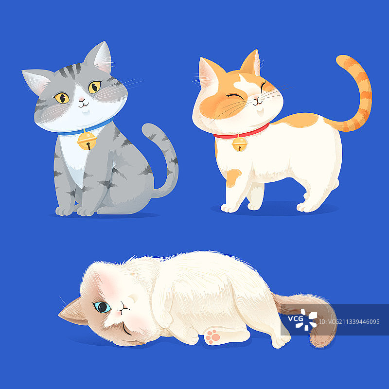 猫图片素材