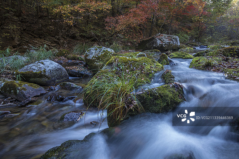 辽宁本溪老边沟流动的溪水与植被图片素材