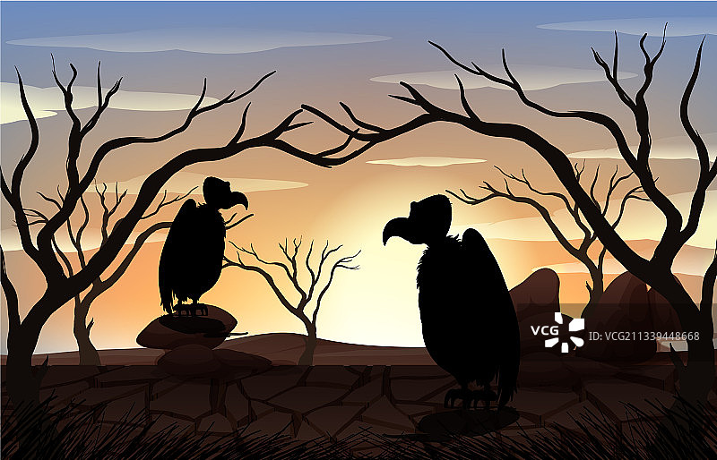 日落时分秃鹫与森林场景轮廓图片素材
