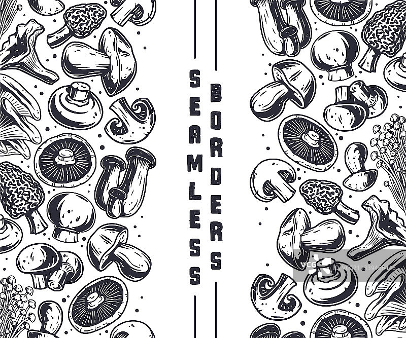 采摘蘑菇：自然蘑菇真菌图片素材