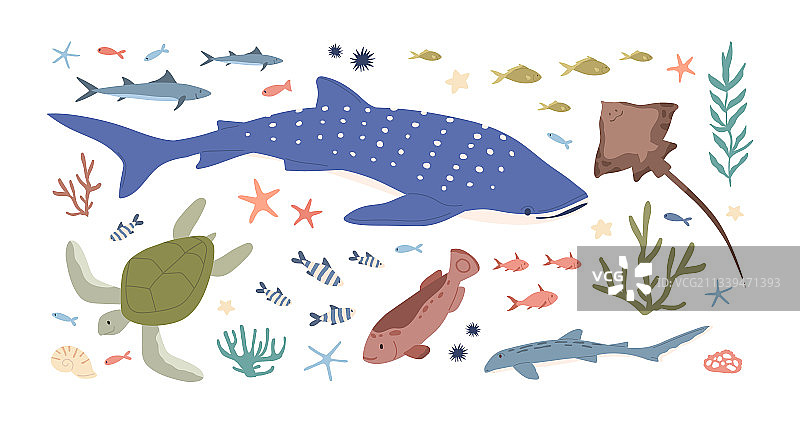 海洋生物栖息地组合图片素材