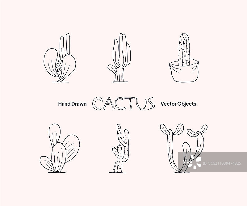 手绘仙人掌素材合集图片素材