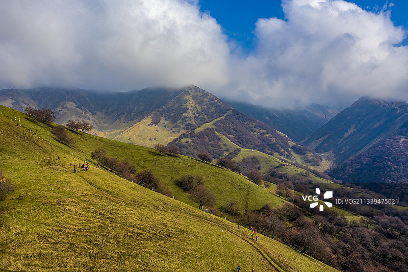 新疆伊犁：门源吐尔根杏花图片素材