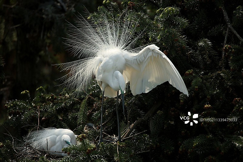 你一直看着我图片素材