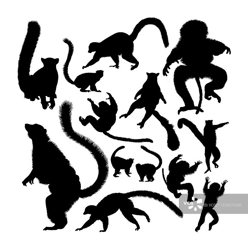 狐猴动物剪影图片素材