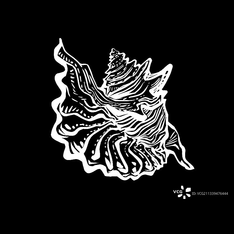 黑白涂鸦贝壳海洋生物图片素材