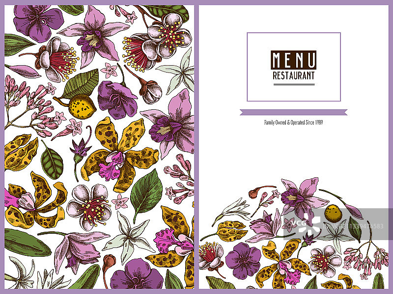 彩色香豌豆花卉菜单封面设计图片素材