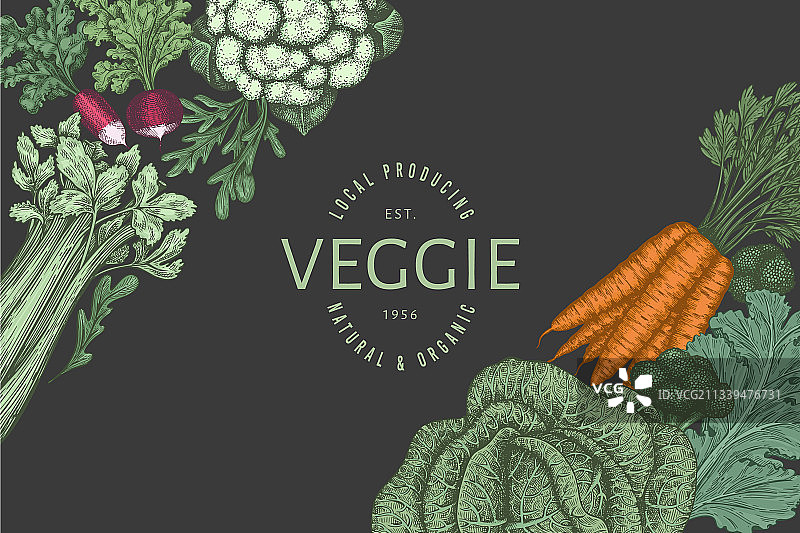 手绘复古彩色蔬菜设计图片素材