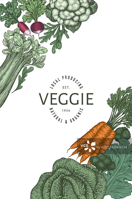 手绘复古彩色蔬菜设计图片素材