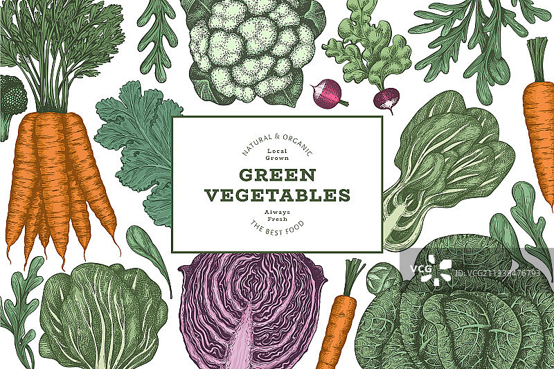 手绘复古彩色蔬菜设计图片素材