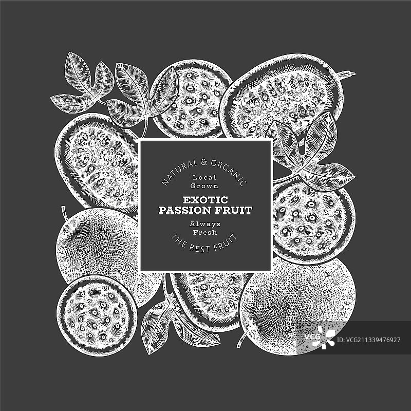 手绘素描百香果banner图片素材