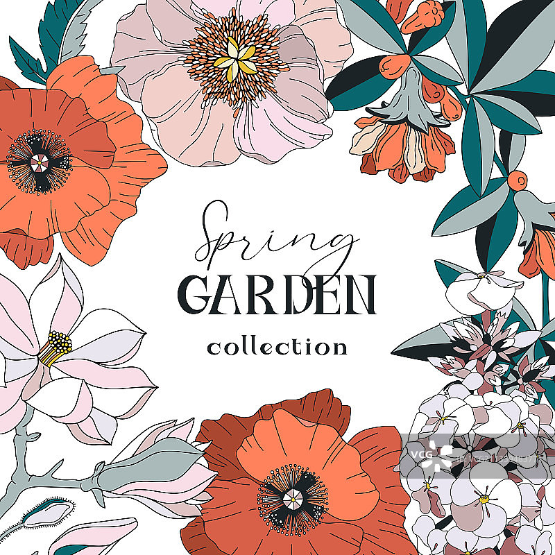 带有春夏花卉 - 罂粟花的边框图片素材