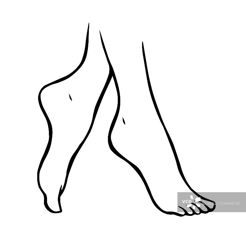 白色背景上的女性腿部线条画图片素材