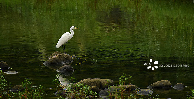 静静的守望图片素材