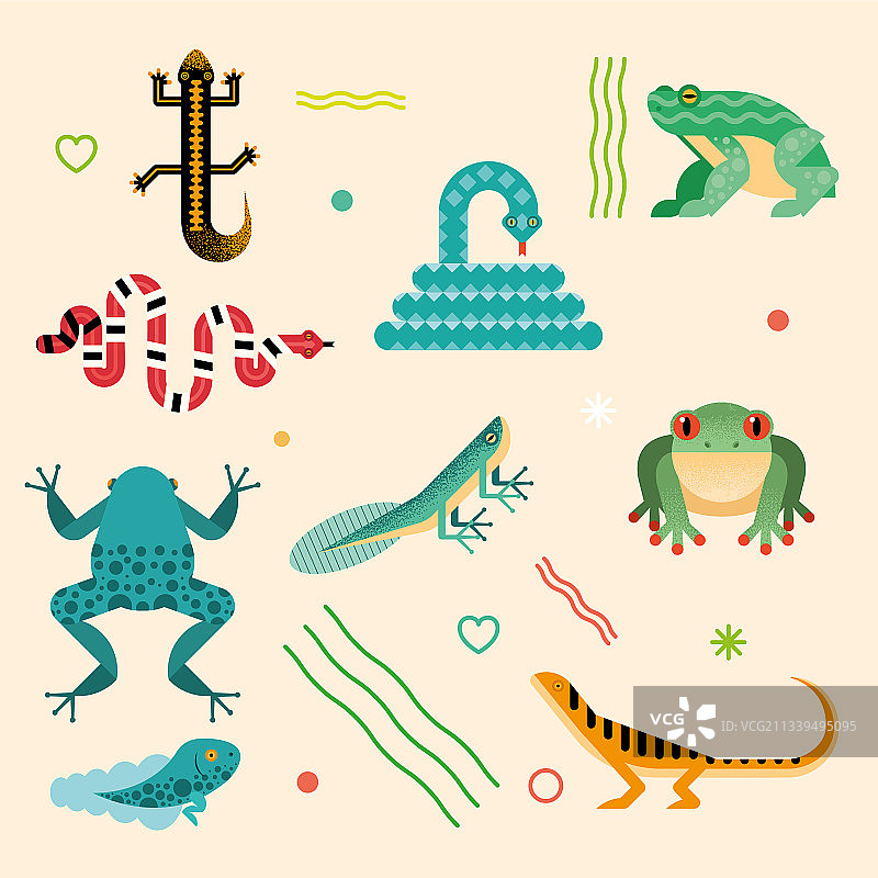 九个可爱的两栖动物图片素材