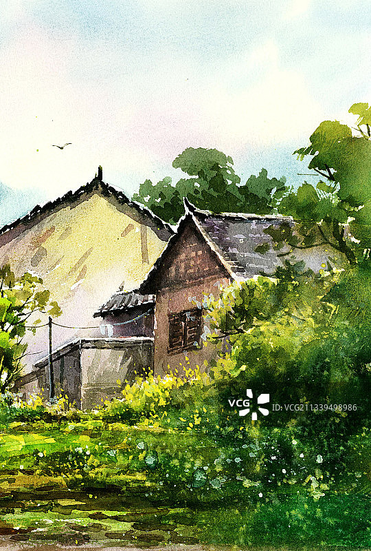 治愈唯美乡村插画图片素材