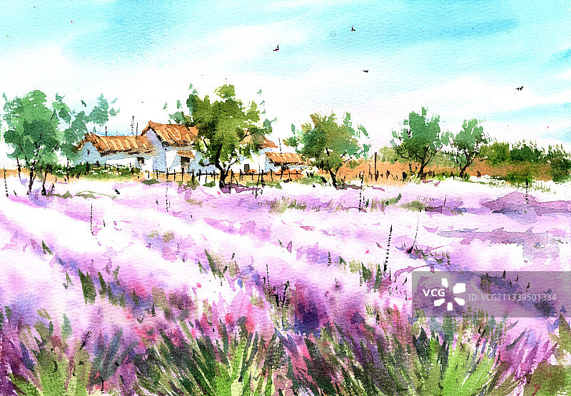 乡村治愈系插画图片素材