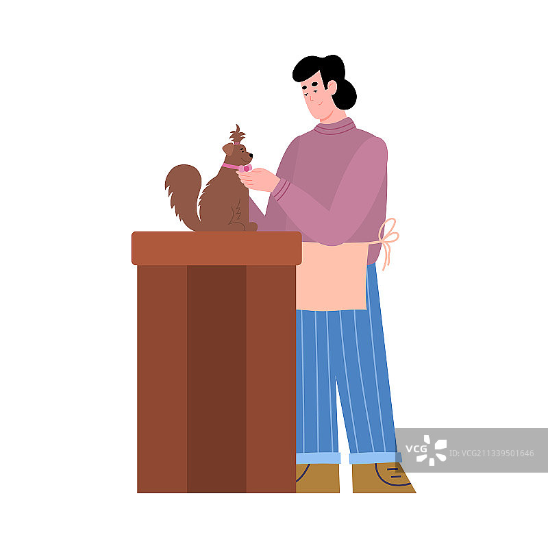 宠物美容沙龙里的美容师正在照顾小狗图片素材