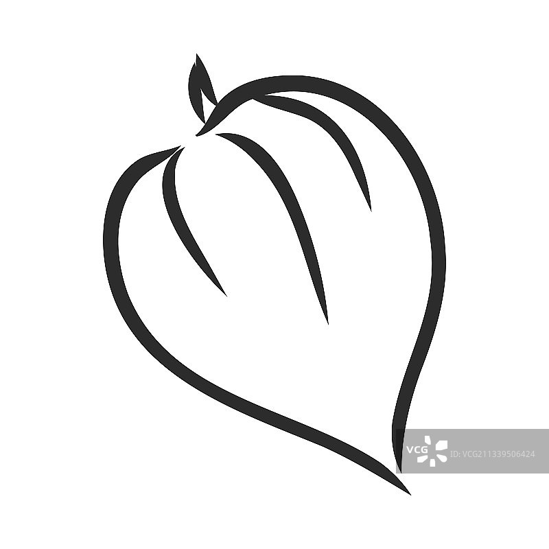 醋栗自动描摹灰度草图图片素材
