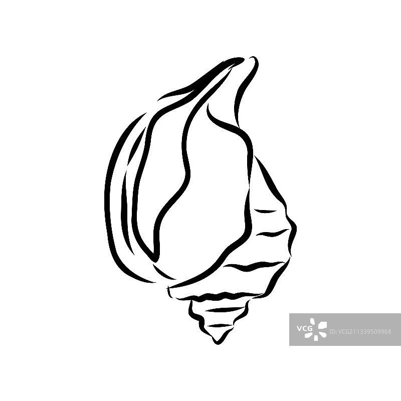 手绘贝壳素材图片素材