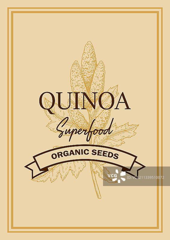带有手绘元素的藜麦包装设计图片素材