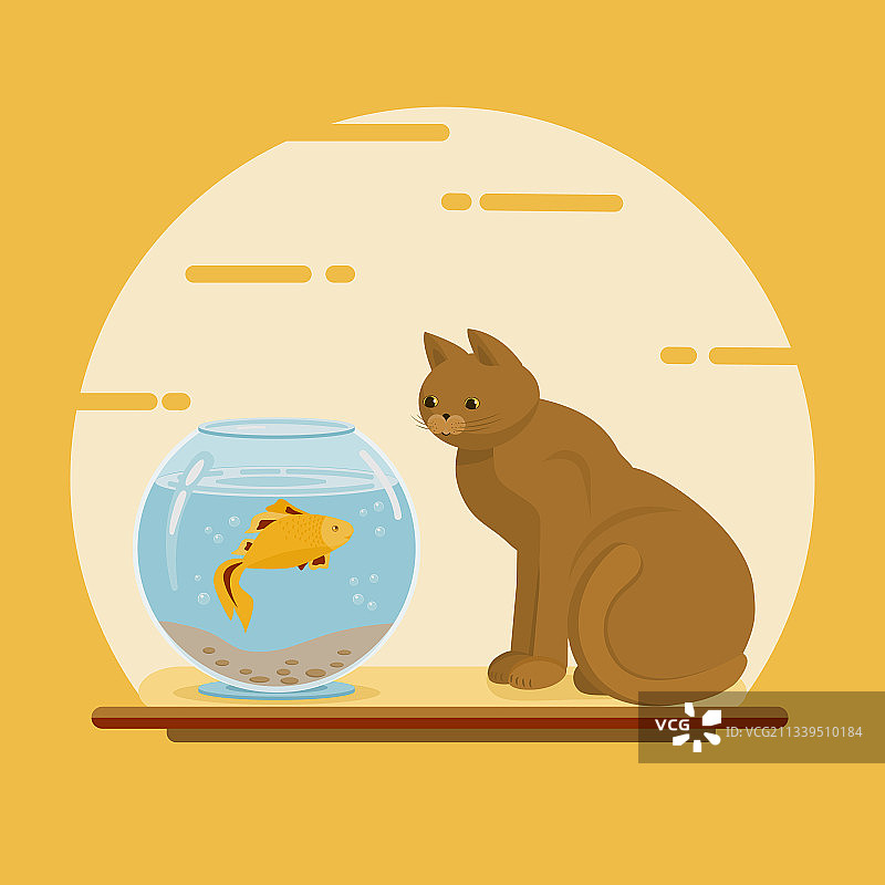 猫和金鱼图片素材