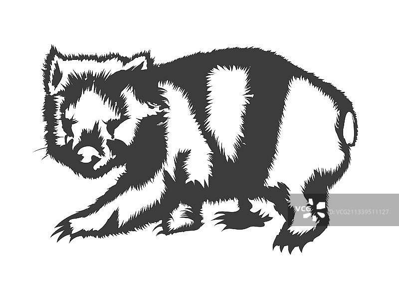 袋熊轮廓图片素材