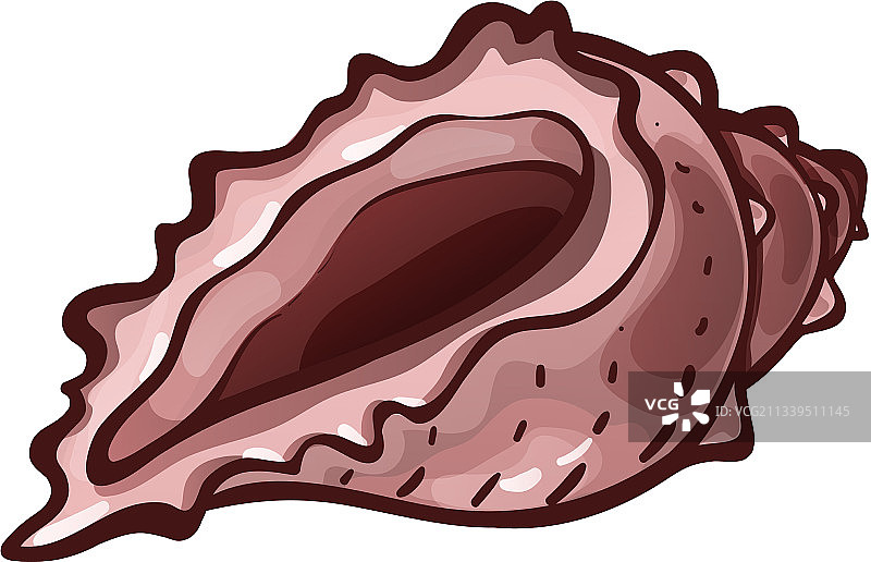 水下常见海螺图片素材