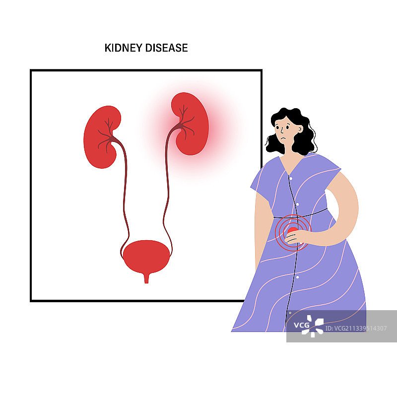 肾脏疾病概念图片素材